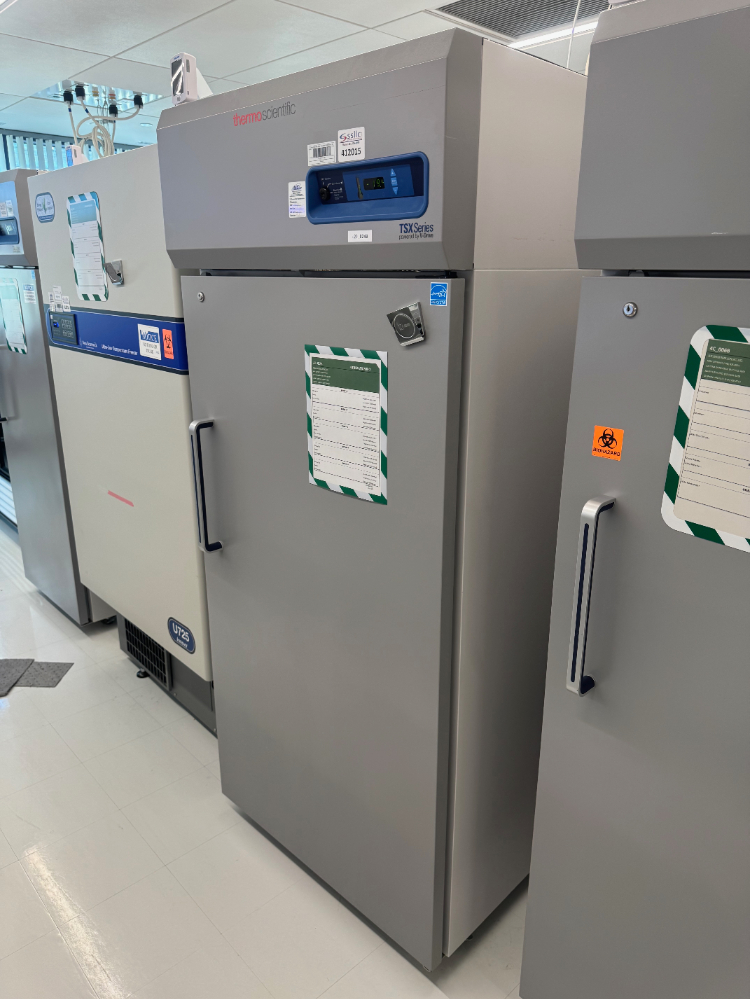 Image of Thermo TSX Series -30C Freezer